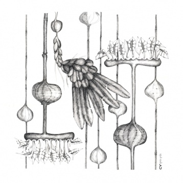 Ciprian Vrabie // Desenul ca o joacă şi simboluri reinterpretate 