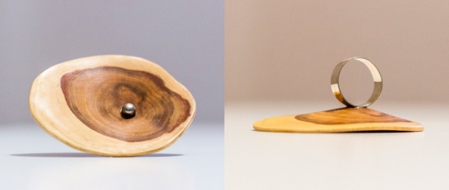 GRIGORE MITREA  // WOODREPUBLIC // WW