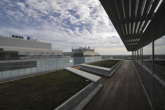 ANDREESCU & GAIVORONSCHI