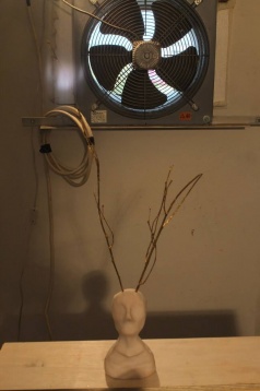 Alternative la cultură și agricultură