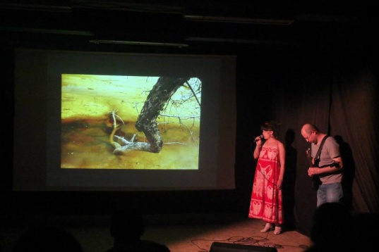 Alternative la cultură și agricultură