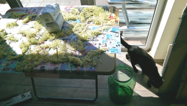 Alternative la cultură și agricultură