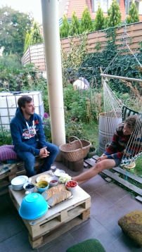 Alternative la cultură și agricultură