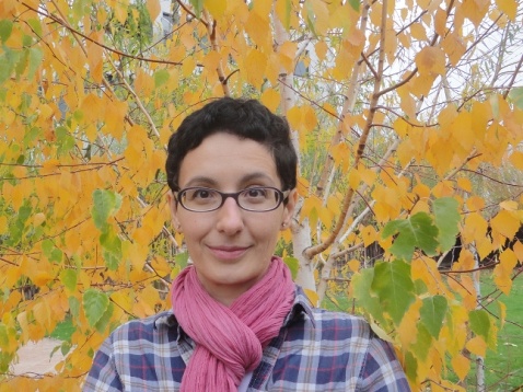 Cătălina Diaconescu // Casă peste casă 