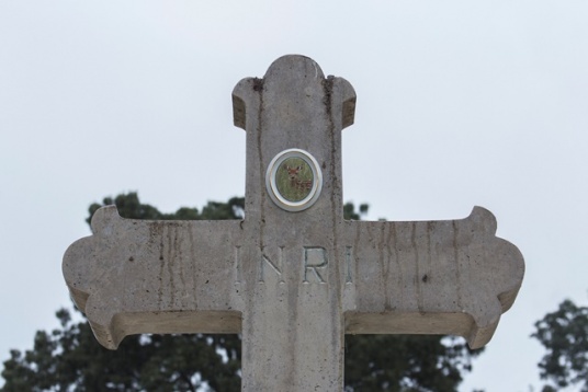 Institute, THE Magazine, ediția de Timișoara