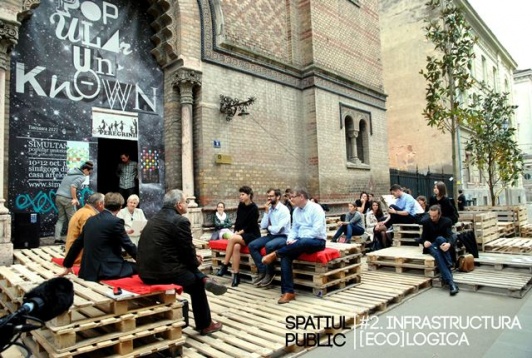 Institute, THE Magazine, ediția de Timișoara