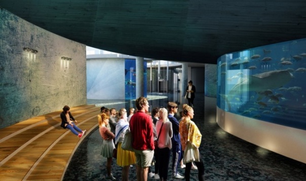 Otilia Sandu // Acvariu București