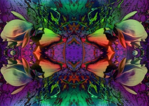 Aurora Melinte // Portal