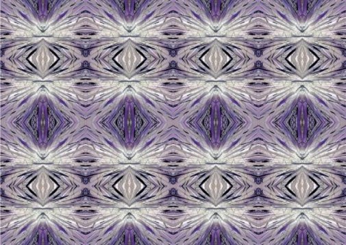 Aurora Melinte // Portal