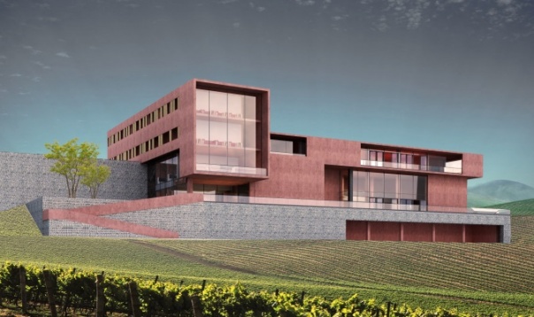 Vasile George Valeriu // Centru viticol