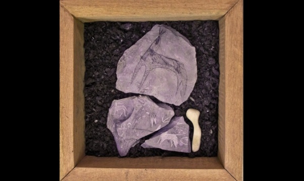 Diana Elena Blaga // Bestiar