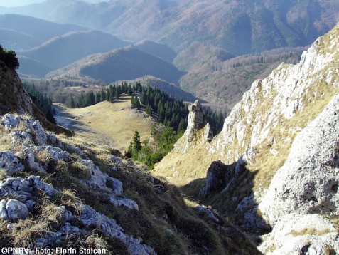 Kogayon: România ca un parc