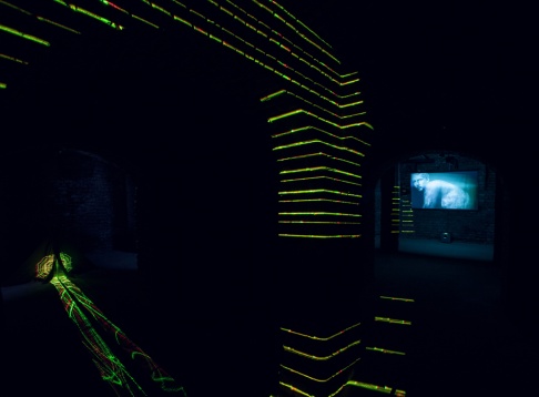 Artă contemporană est-europeană pe Strada Plantelor