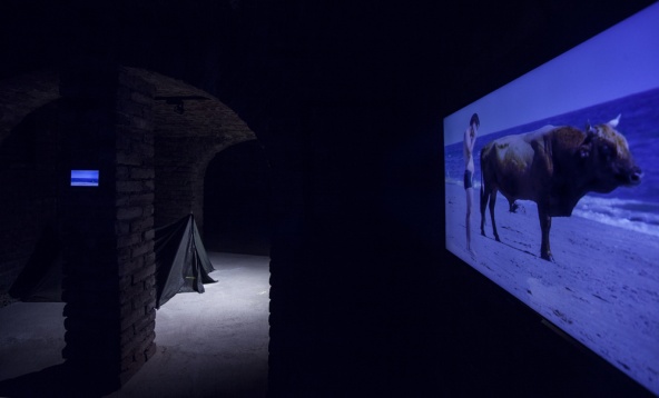 Artă contemporană est-europeană pe Strada Plantelor