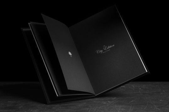 Ștefan Trifan: Fifty Logos 