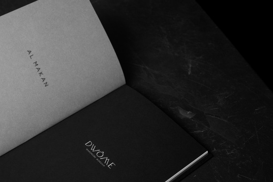 Ștefan Trifan: Fifty Logos 