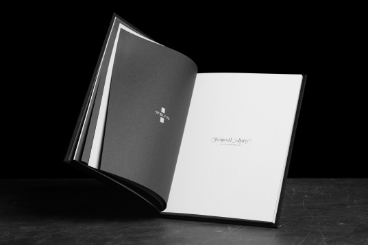 Ștefan Trifan: Fifty Logos 