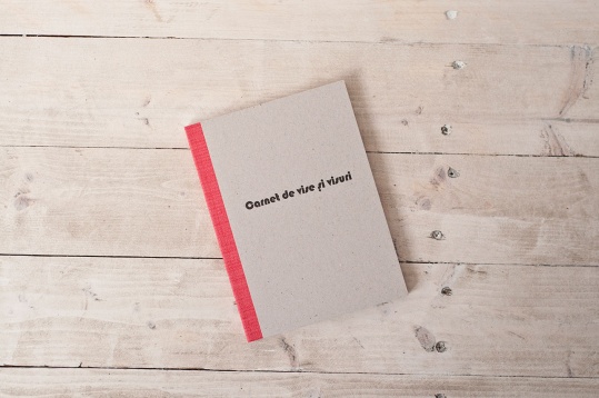 Noemi Meilman: Carnet de Vise și Visuri 