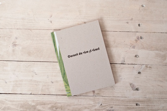 Noemi Meilman: Carnet de Vise și Visuri 