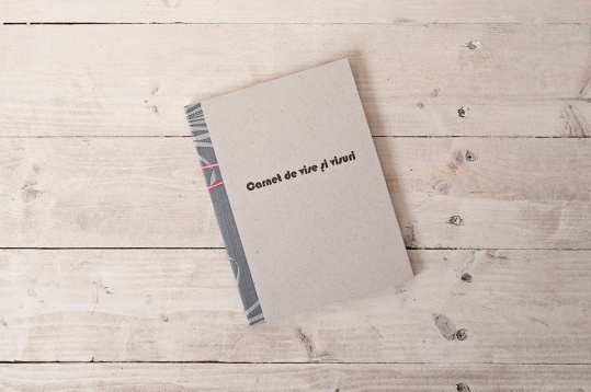 Noemi Meilman: Carnet de Vise și Visuri 