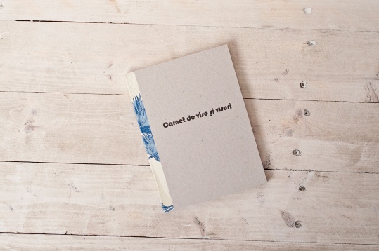 Noemi Meilman: Carnet de Vise și Visuri 