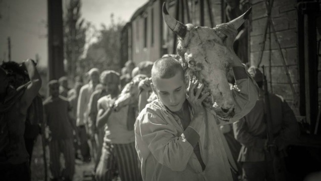 Pregătiți pentru prima rundă de aplauze la Premiile Gopo 