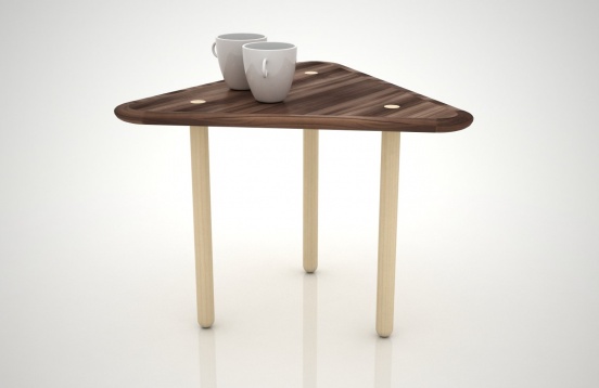 ANAMARIA BICA&CRISTINA POP