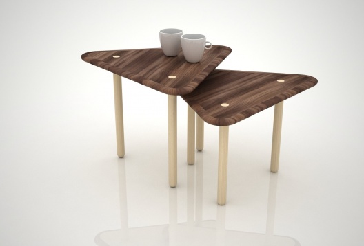 ANAMARIA BICA&CRISTINA POP