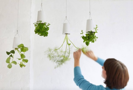 INTRO AFTERNOON TALKS // Design from a marketing perspective