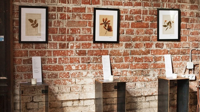 POTECA STUDIO & ALINA TURDEAN // RE-integrate