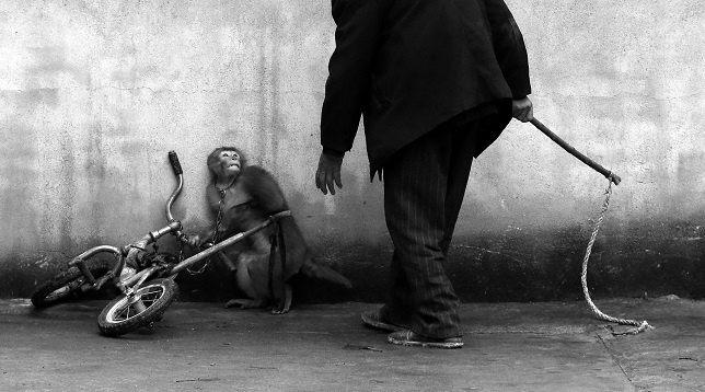 World Press Photo 2015 Exhibition 