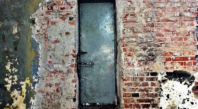 ZEPPELIN // Carol Factory