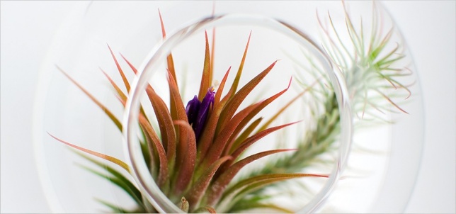 Gift Shop goodies @RDW2015