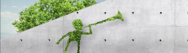 Program de CSR lansat de Porsche România și Fundația Comunitară București