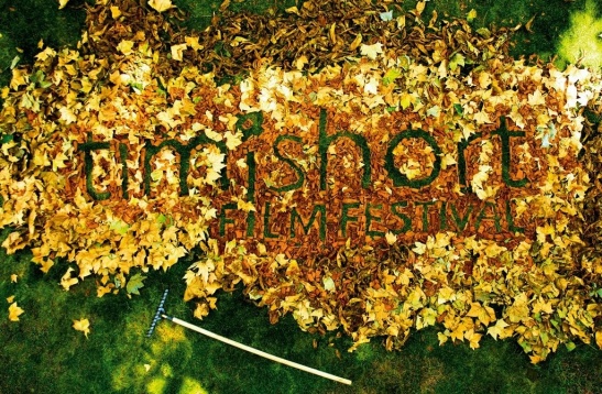 Un weekend de scurtmetraje Timishort