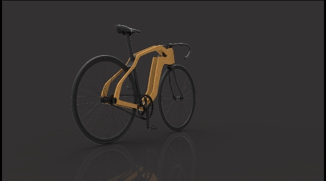 Andrei Cristian Sandu  // Bicicletă urbană