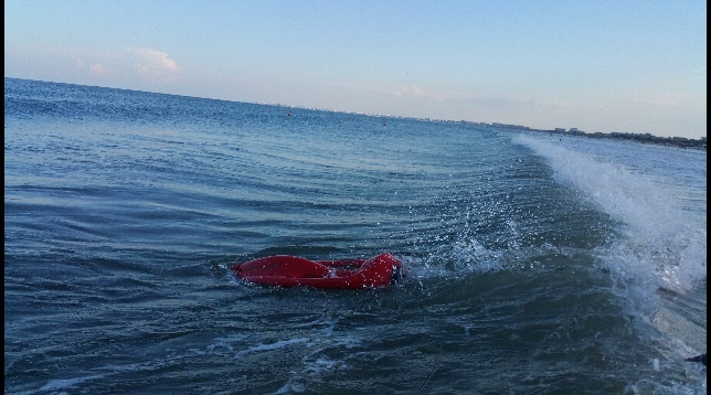 Constantin Rotaru  // Sistem salvare de la înec