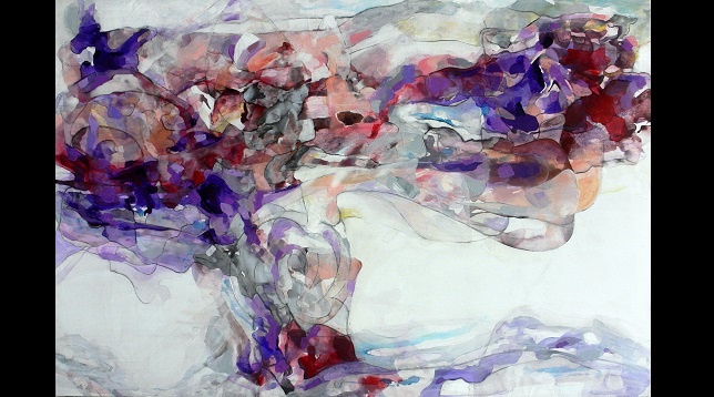  Isabela Lucia Ghebarus // Simbioza din spatele vizibilului