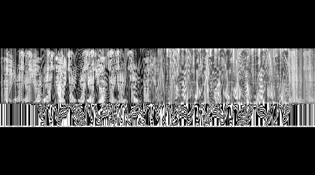 Roxana Bloju // 12 Lei 30