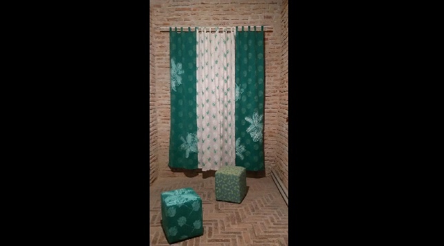 Alina Mădălina Păruș // Amprenta Vegetalului