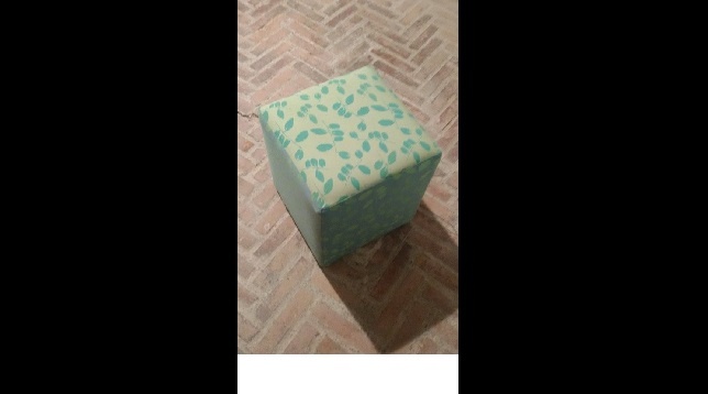 Alina Mădălina Păruș // Amprenta Vegetalului