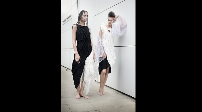 Anca Pancu // Symbiosis