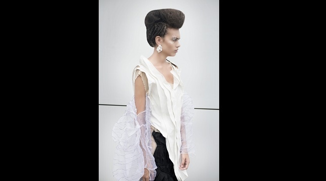 Anca Pancu // Symbiosis