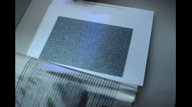 Doru Niculae // Roadside picnic