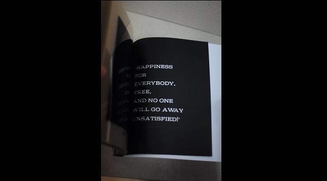 Doru Niculae // Roadside picnic