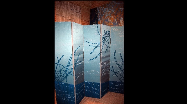 Florentina Spânu  // Drumul acului