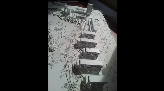 Adelina Andrei // Locuire și loisir