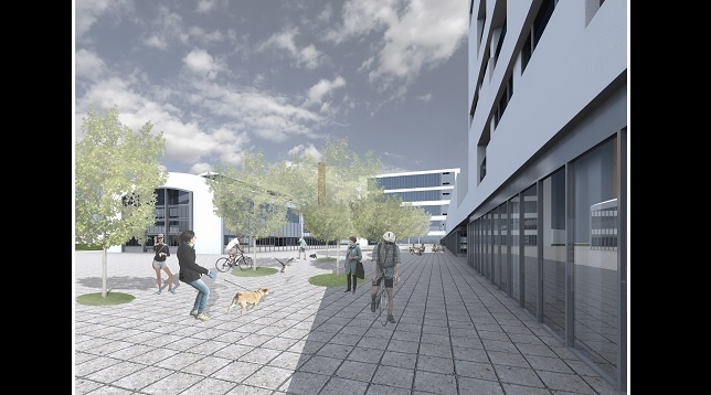 Adelina Andrei // Locuire și loisir