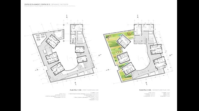 Claudia Dragnea // Centru de plasament