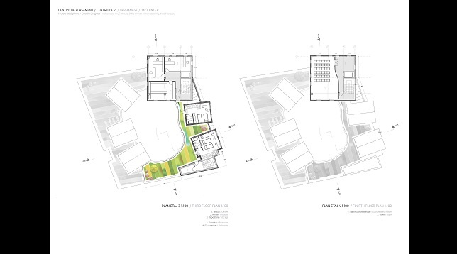 Claudia Dragnea // Centru de plasament